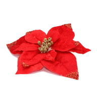 Christmas flower