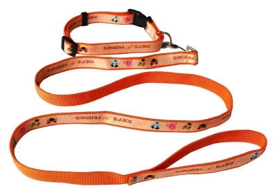Pet Rope