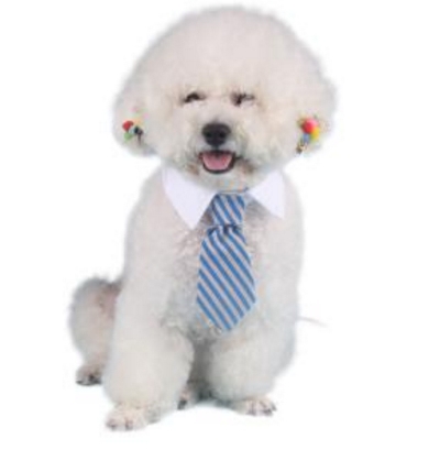 Dog Tie
