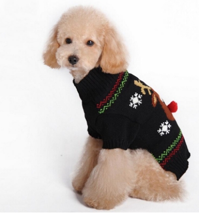 Pet Sweater