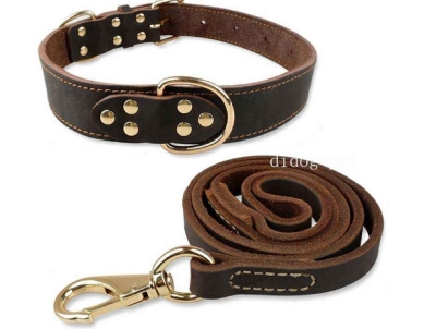 Pet Leash Collar