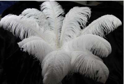 Ostrich Hair
