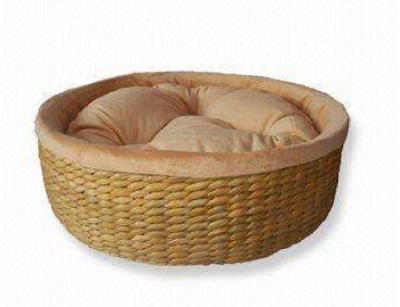 Pet Kennel